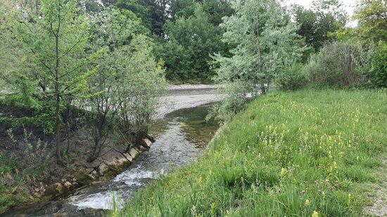 An dieser Stelle fließt der Ratzbach in die Frutz und der Dammweg verbindet sich mit dem Forstweg.
Nur noch eine Möglichkeit weiter zu laufen.