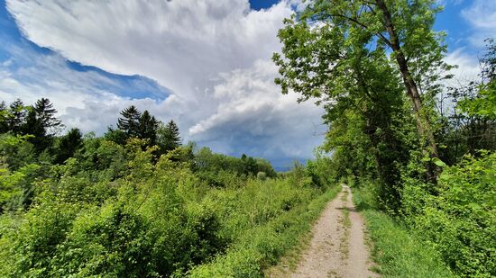 auf dem Damm entlang - man sieht schon dunkle Wolken am Horizont
