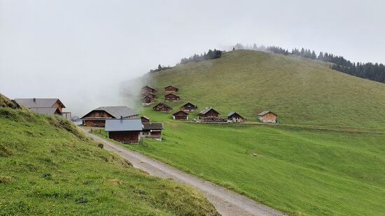 der Nebel kommt doch nochmal