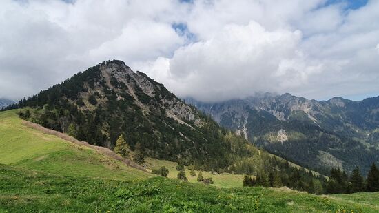 Auf den Spitz geht es hoch