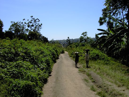 mitten auf der Insel