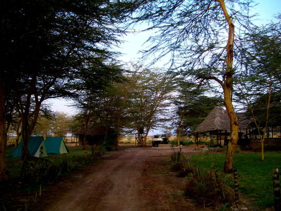 Kiboko Camp Site