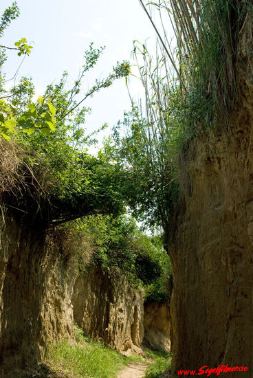 Der Weg zum Leuchtturm
