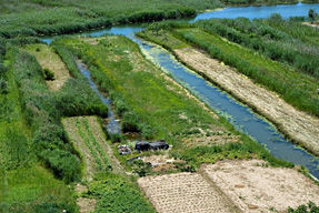 Von den Bauern kunstvoll angelegte Gemüsefelder im Neretva Delta