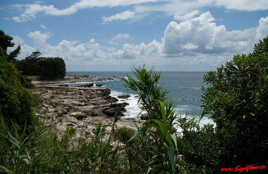 Badefelsen auf Lokrum. An vielen Stellen rund um die Insel wurden Badeleitern angebracht, so dass tratotz der etwas felsigen Küste ein Bad kein Hindernis darstellt.