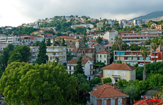 Das Bild der Stadt zeigt viel Grün zwischen den Häusern. Die gartenarchitektonische Gestaltung von Herzog Novi ist perfekt.