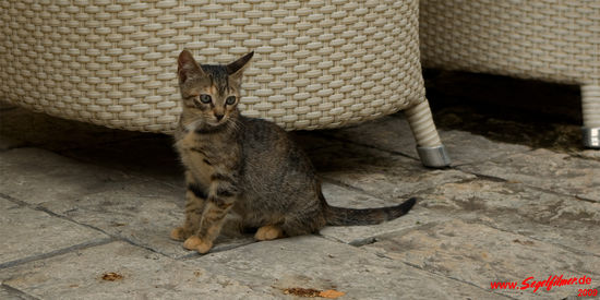 "Was is'n mit dir los?"