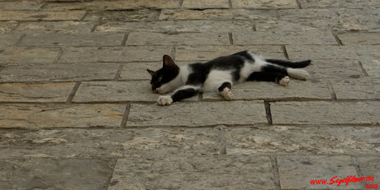 "Oooch, die Hitze haut einen einfach um!"