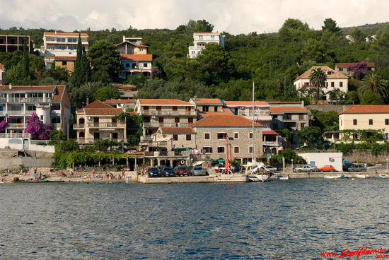 Blick frontal auf den Kopf der Pier