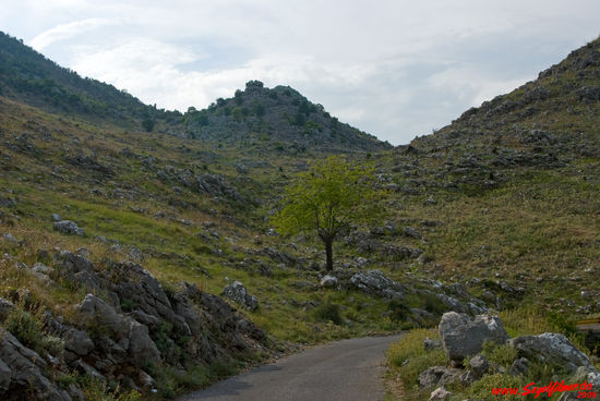 Der Weg, den wir oberhalb des Skutarisees entlangfahren, ist schmal. Immer wieder stehen kleine Ausweichbuchten zur Verfügung.