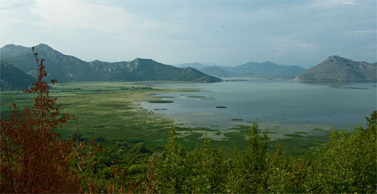 Ufer des Skutarisees: Es gibt keine Bucht, deren Wasseroberfläche sichtbar ist. Der Skadarsee ist von Seerosen und Wassernüssen überwuchert. Ein gutes Versteck, ein ideales Vogel- und Fischgebiet. So ideal für die Vögel, dass wir nur wenige sehen ...