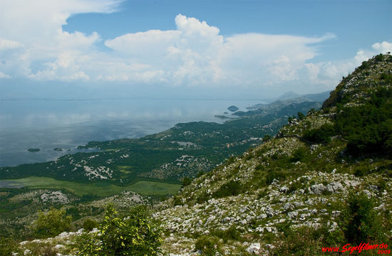 Der größte See des Balkans ist der Skutarisee (Skadarsee) mit einer Größe zwischen 540 und 370 Quadratratkilometern. Die Größe nimmt durch die Verdunstung im Sommer ab, die Scheeschmelze im Frühjahr läßt den See wieder wachsen. Die Natur hat die Anwohner des Skutarisees üppig beschenkt: der Fischreichtum des Sees ist legendär. Karpfen, fette Aale, Lachsforellen, Zander, die sardinengroße Ukeleie und die schmackhaften Felchen schwimmen in riesigen Schwärmen durch das durchschnittlich fünf Meter tiefe Wasser des Sees. Insgesamt beherbergt der See etwa 35 Fischarten. Der See ist aus diesem Grunde auch ein wahres Vogelparadies. Silberreiher finden hier ihr Auskommen, Kormorane tauchen mit ihren schwarzem Federkleid zum Fischfang in das Wasser des Sees und ganz im Süden des Sees gibt es die inzwischen seltenen Krauskopf-Pelikane. Viele weitere Arten von Vögeln kehren auf ihren langen Reisen an dem See ein: Nachtreiher, Purpurreiher, Graureiher, Haubentaucher, Löffler, Schwarzhalstaucher und und und.