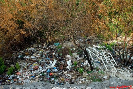 Auch das sehen wir am Wegrande in diesem Nationalpark. Ich nenne das Bild einfach einmal "Lustige bunte Farbtupfer in der Landschaft" ...