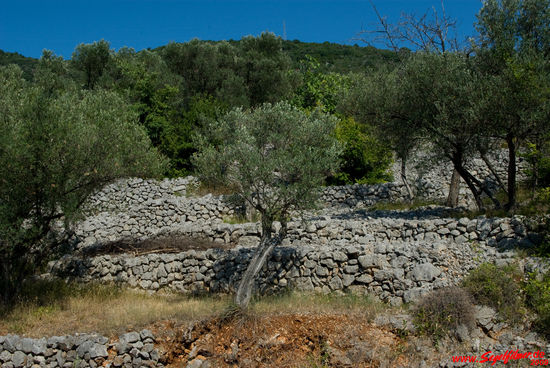 Trockenmauern auf Cres