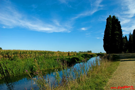 Unterwegs in Terre di Aquileia