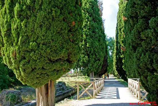 Wir schlendern eine alte Römerstrasse entlang, wo manche Spaziergänger tatsächlich "Trümmer" sehen ...