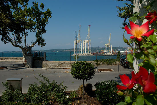 Ansicht von Koper: die Kräne vom Hafen sehen aus wie aus Stahl gebaute Giraffen, die sicher gleich losstapfen werden, um die Pflanzen im Vordergrund kahlzufressen ...