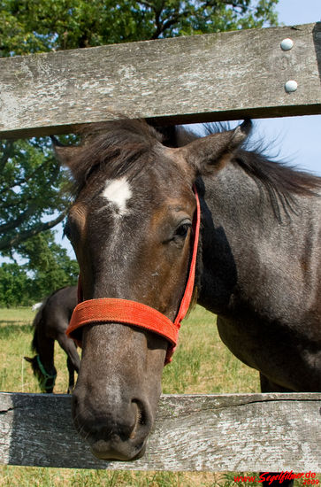 "Hey, knippst Du mich mit 'ner Spiegelreflex? - Is ja 'n tolles Teil!"