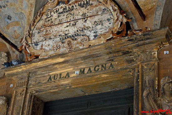 Tür zur berühmten Aula Magna, hinter der schon Galilei lehrte