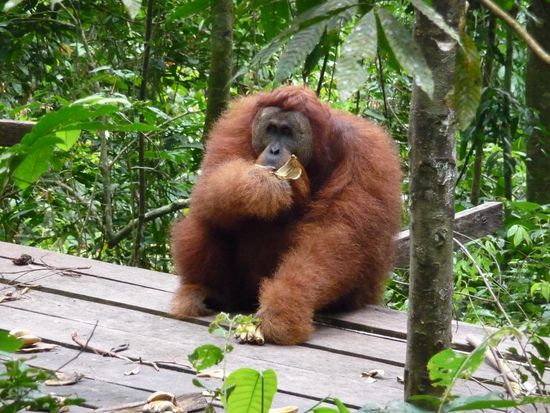 Das Maenchen noch auf der Plattform