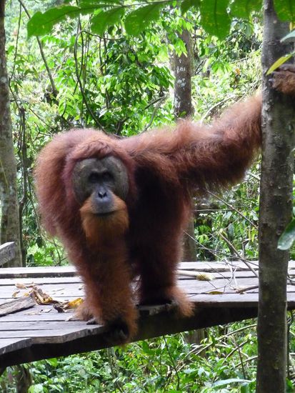 Nochmals das Maenchen