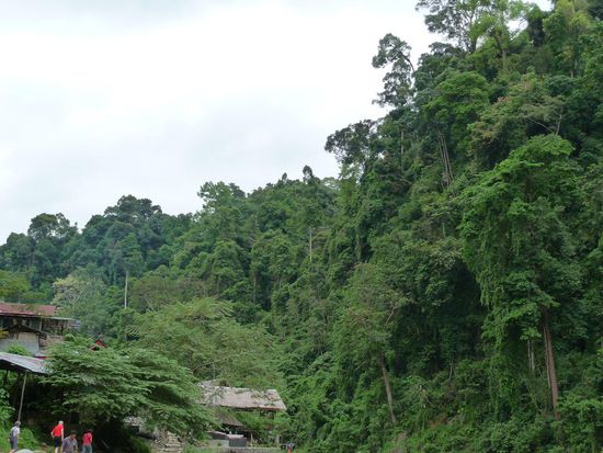Ganz Links ist unser Balkon zu sehen, und auf der anderen Seite: Da Jungle!!!