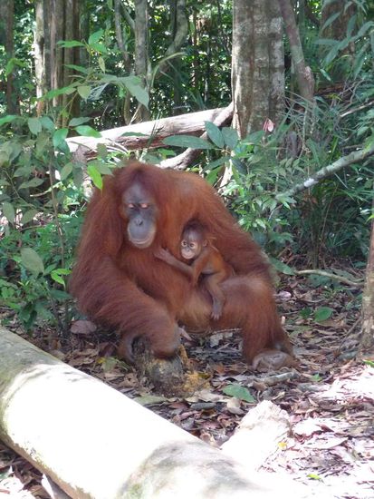 Mutter mit ihrem Jungen