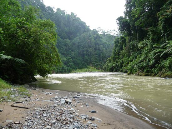 Fluss am naechsten morgen