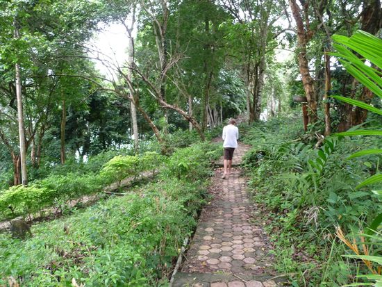 Auf dem Weg zum Bungalow