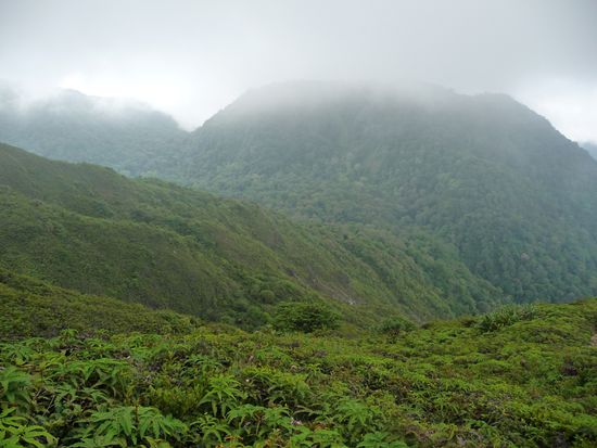 Auf dieser Seite gings dann wider runter