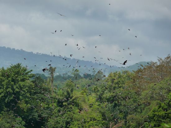 Es war wirklich ein riesen Spektakel!!!