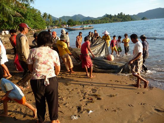 Alle warten gespannt auf den Fang