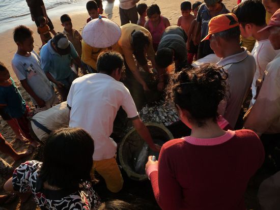 Diesmal war was drinn!