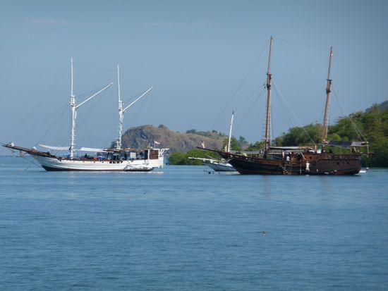 Livaboard's im Hafen von Lubuan Bajo