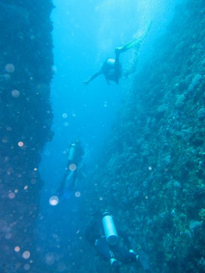 Tauchen im Canyon am Batu Balong
von oben nach unten: Stephan, Ich und Simon