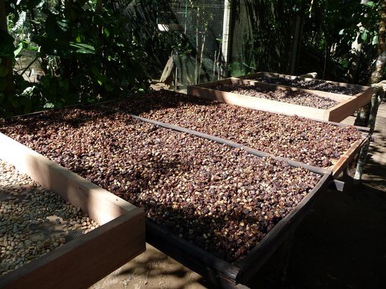 Hier wird die Scheisse dann getrocknet