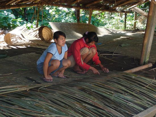 Und zu Matten verflechtet