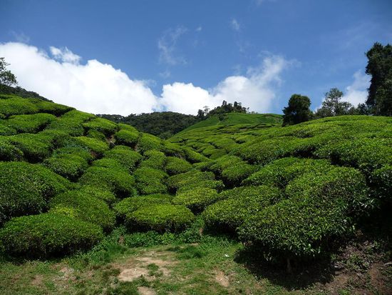War wirklich wunderschoen