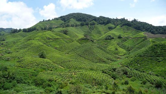 Aussicht von der Terasse des Restaurants