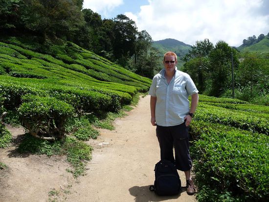 Niik inmitten von Tee Bueschen
