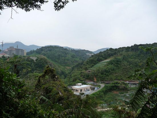 Aussicht runter auf den beginn der Stadt (Dorf)