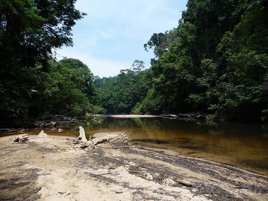 Und hier eine Stelle im Fluss wo man schwimmen konnte