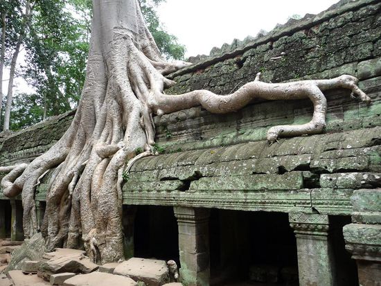 Fuer mich war dies hier der spannendste Tempel, und darum habe ich ihn am zweiten Tag nochmals besucht.