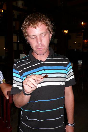 Und siehe da: Es schmeckte sogar gut!!! Der ganze Panzer und so war ein wenig knusprig, aber ansonsten ganz OK.