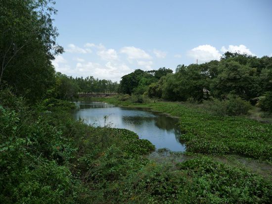 See im hinteren Teil der Killing Fields