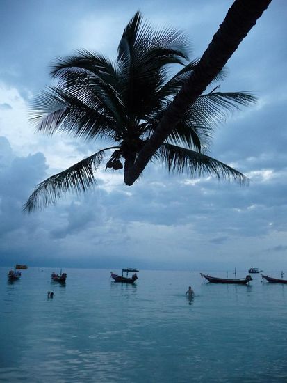 Von der Strandbar aus 