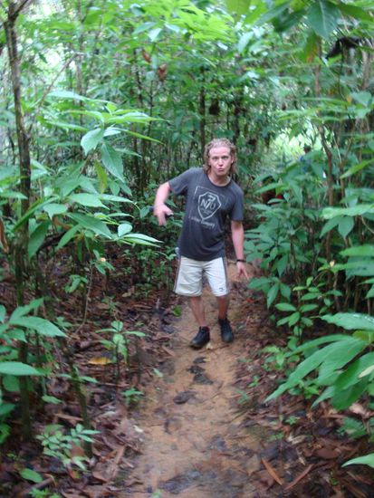 Welcome to the Jungle 