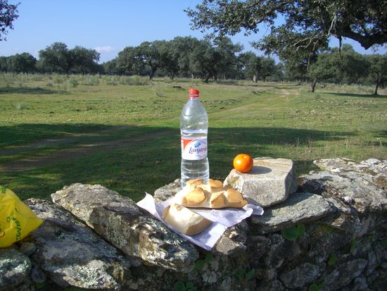 mein Fruehstueck...Brot, Kaese wie Plastik(den kauf ich nie wieder), Vitamine und viieel Wasser!!!