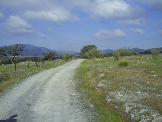 endlos lange Wege! Dort oben hinter dem letzten berg liegt Monesterio, ca 17km ab diesem Bild, gestern morgen um halb elf!!