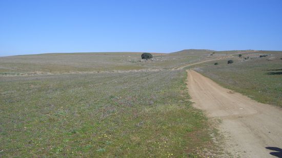 und irgendwie gehts doch weiter...und weiter...